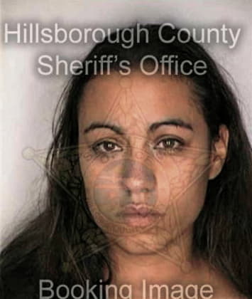 Irma Rodriguezhiers, - Hillsborough County, FL 