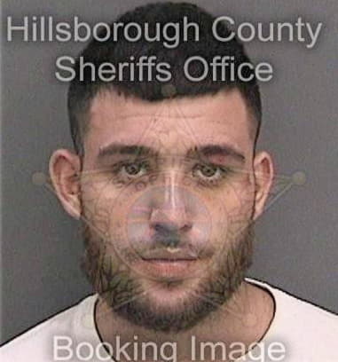 Eldidio Suarez, - Hillsborough County, FL 