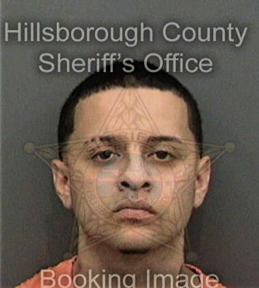 Erik Whittaker - Hillsborough County, FL 