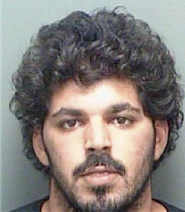 Anthony Fiore, - Pinellas County, FL 