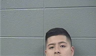 Vicente Hernandez, - Cook County, IL 