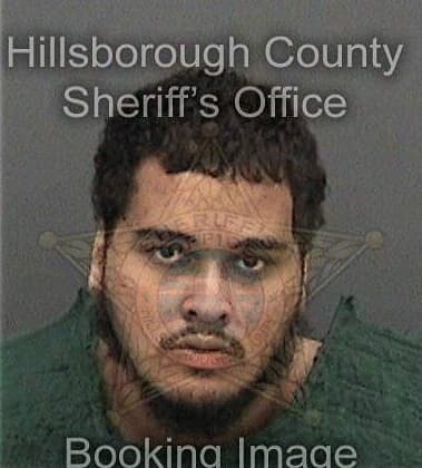 Michael Johnson, - Hillsborough County, FL 