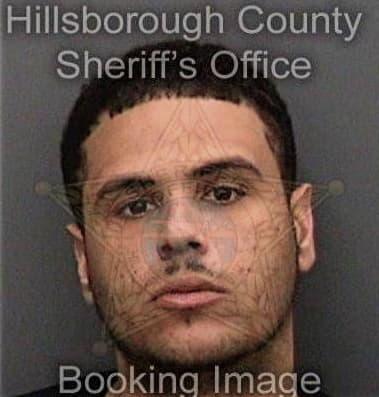Paul McNeal - Hillsborough County, FL 
