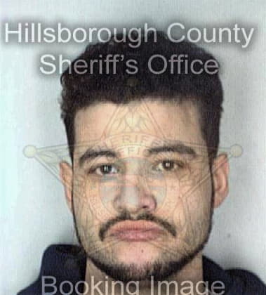 Ramon Medina - Hillsborough County, FL 
