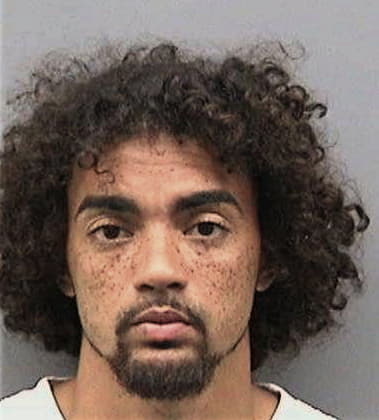 Christopher Ramirez, - Hillsborough County, FL 