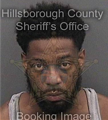 Mark Watson, - Hillsborough County, FL 