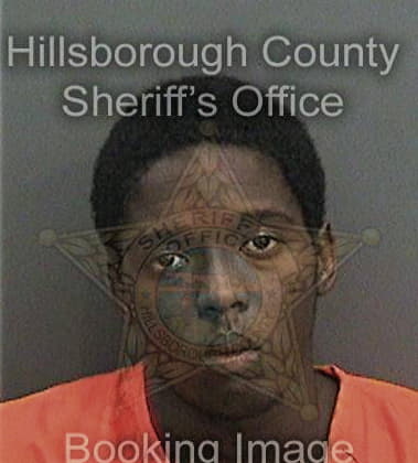 Raheem Askiew, - Hillsborough County, FL 