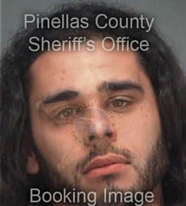 Nelson Bermudez, - Pinellas County, FL 