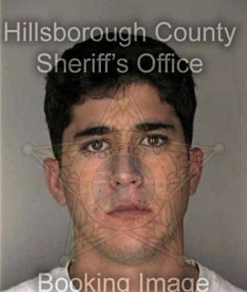 Tadiel Dominguezgomez, - Hillsborough County, FL 