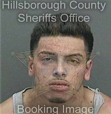 Samuel Hernandezserrano - Hillsborough County, FL 