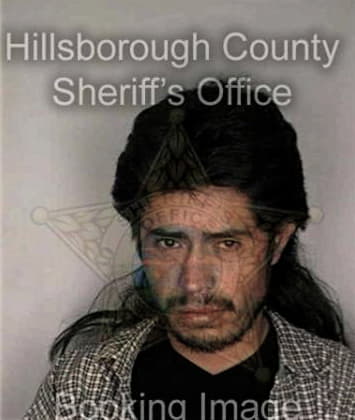 Carlos Llerenalarrinaga - Hillsborough County, FL 