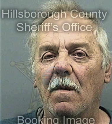 Damon Scanlon, - Hillsborough County, FL 