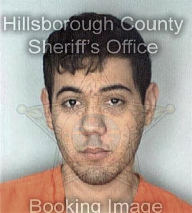 Boris Hernandez - Hillsborough County, FL 