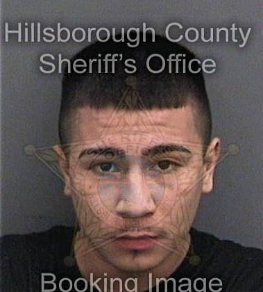Pedro Hernandez-Pavon - Hillsborough County, FL 