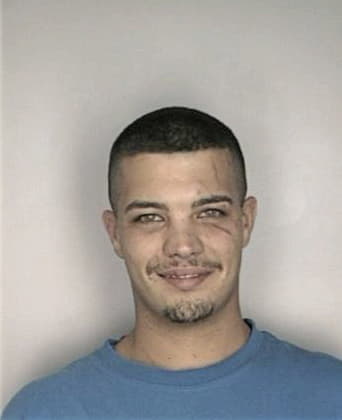 Hector Ruizrivera, - Hillsborough County, FL 