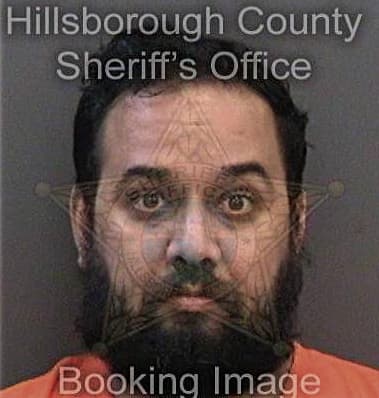 Ameer Salti, - Hillsborough County, FL 