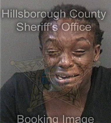 Nicole Bryant, - Hillsborough County, FL 