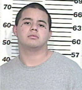 Lee Delgado, - Hidalgo County, TX 