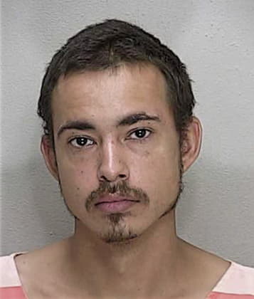 Robert Fiorentino, - Marion County, FL 