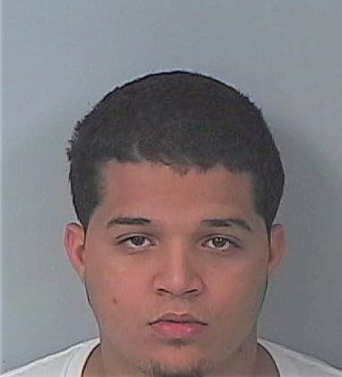 Michael Flammia, - Hernando County, FL 