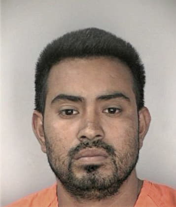 Johnny Hernandezalvarez - Hillsborough County, FL 