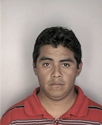 Ernesto Martinez, - Hillsborough County, FL 