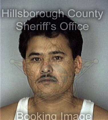 Christopher Woods, - Hillsborough County, FL 