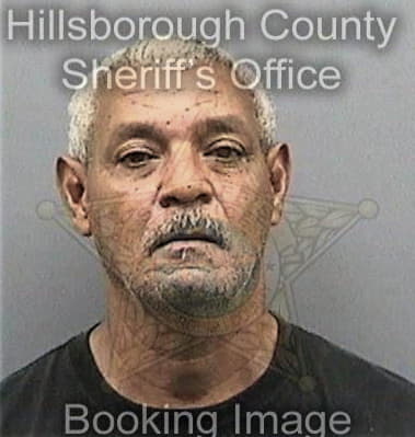 Diesmar Zaldivarramirez, - Hillsborough County, FL 