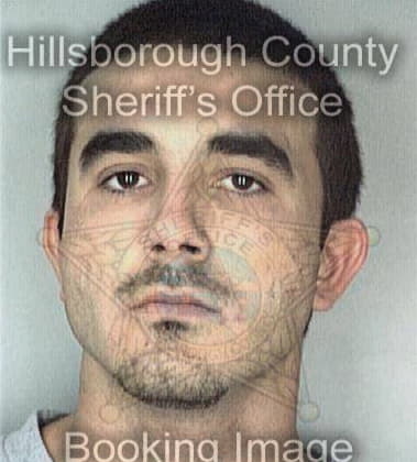 Naski Alhamden, - Hillsborough County, FL 