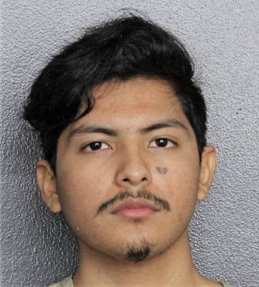 David Castellanos, - Broward County, FL 