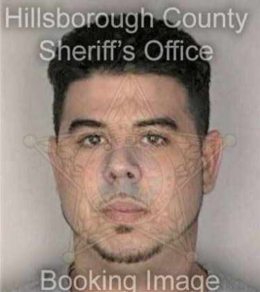 Luciano Deangelo, - Hillsborough County, FL 