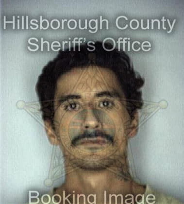 Michael Ebra, - Hillsborough County, FL 