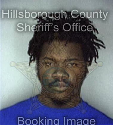 Deangelo James, - Hillsborough County, FL 