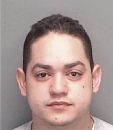 Alfredo Martinez, - Pinellas County, FL 