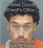 William Perez, - Pinellas County, FL 