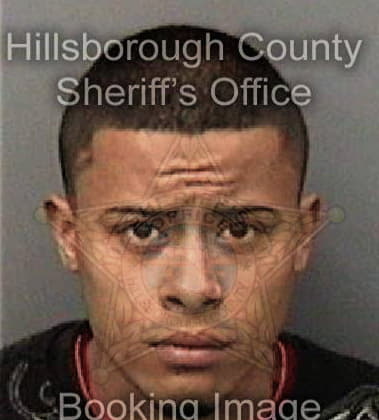 Rafael Calixcro, - Hillsborough County, FL 