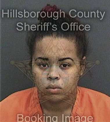 Alexandra Flood, - Hillsborough County, FL 