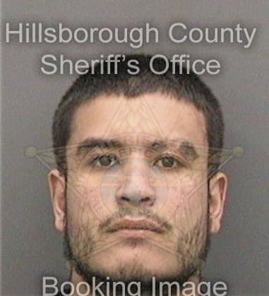 Drew Hammons, - Hillsborough County, FL 