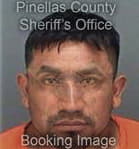 Carlos Ochoa, - Pinellas County, FL 