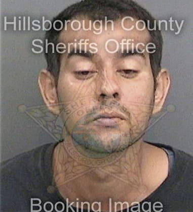 Scott Rowell, - Hillsborough County, FL 