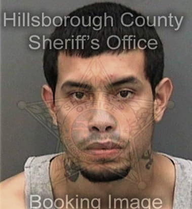 Michael Appie, - Hillsborough County, FL 