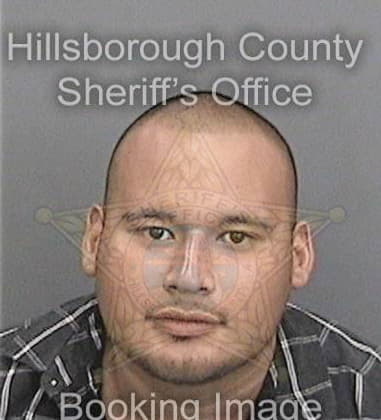 Matthew Charlson - Hillsborough County, FL 