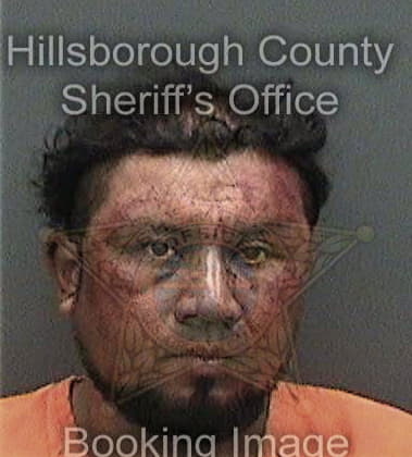 Eduardo Diaz-Vega, - Hillsborough County, FL 