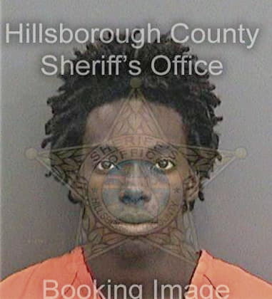 Aaron Diggs, - Hillsborough County, FL 