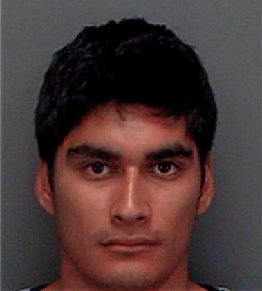 Alberto Mendozahernandez, - Pinellas County, FL 