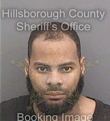 Michael Mullins, - Hillsborough County, FL 