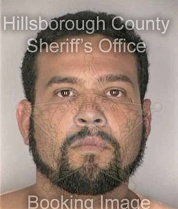 Jose Santostorres, - Hillsborough County, FL 