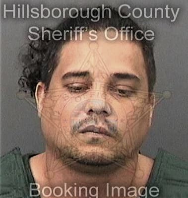 Ramon Torres, - Hillsborough County, FL 