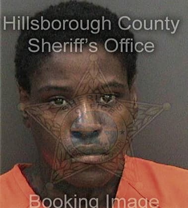 Jeremy Johnson, - Hillsborough County, FL 