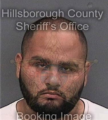 Ryan Kelly, - Hillsborough County, FL 